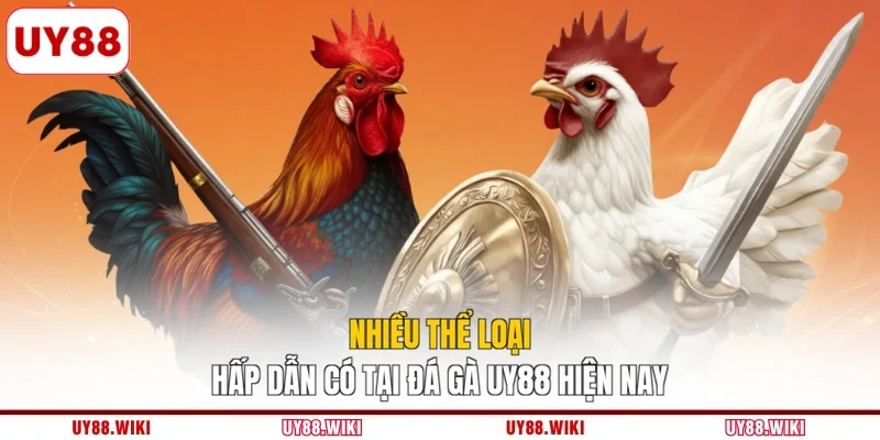 Nhiều thể loại hấp dẫn có tại đá gà UY88 hiện nay